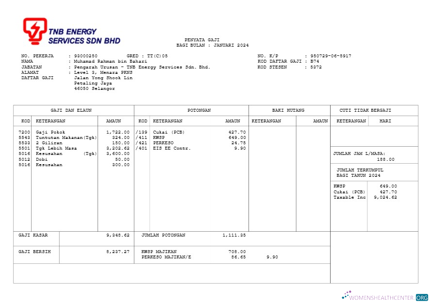 Download TNB Energy Services payslip template in Word and PDF formats.pdf, 1 Photoshop template